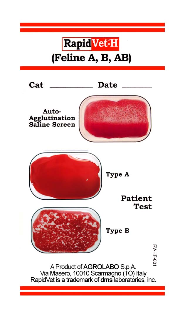 Группа крови экспресс. Тест для определения группы крови у кошек. Определение группы крови у собак. Тест на определение группы крови собак. Определить группу крови у кошки.